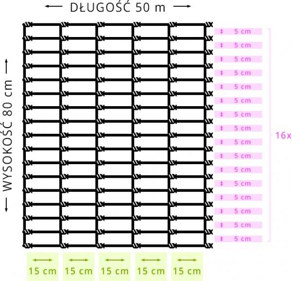 Siatka leśna 80/17/15 G16 - OtoSiatka.pl